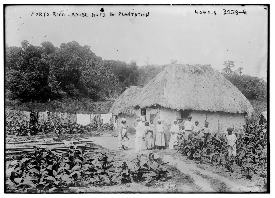 Puerto (Porto) Rico - Adobe huts & plantation LCCN2014703162