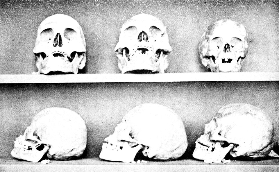 PSM V50 D513 Santa clara mounds skulls