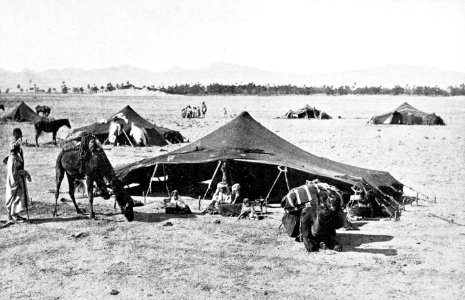 PSM V52 D609 Bedouin encampment in the sahara and the atlas mountains
