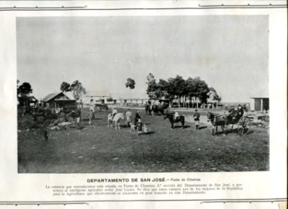 Punta de Chamizo - San José