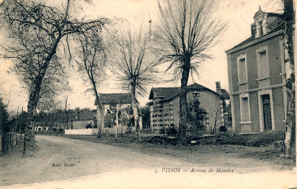 Pissos (Landes) - route de Moustey
