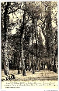 Pujols-sur-Ciron chateau-de Lassalle Parc