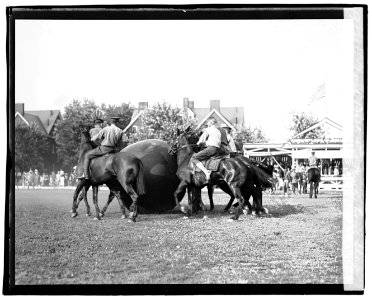 Push Ball, Fort Meyer horseshow, 1920 LCCN2016828464