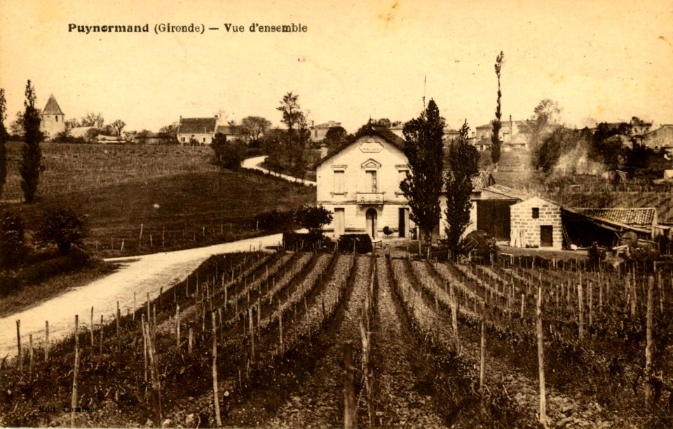 Puynormand - vue générale 1