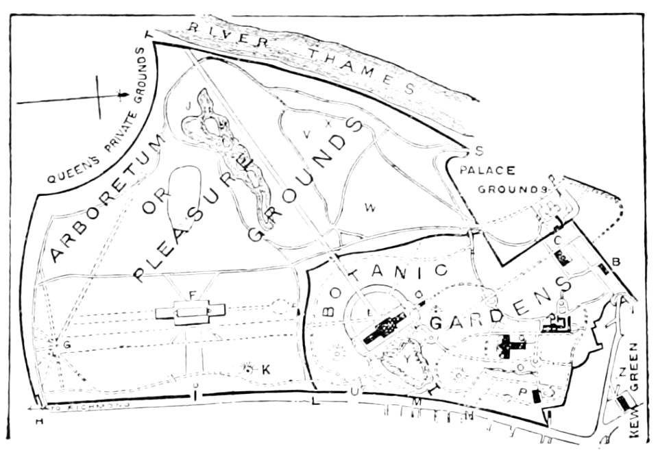 PSM V50 D194 Plan of kew gardens