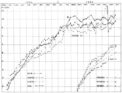 PSM V50 D820 Dogs growth chart