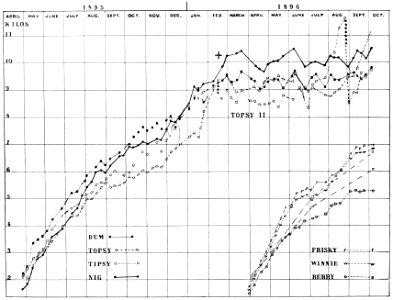 PSM V50 D820 Dogs growth chart photo