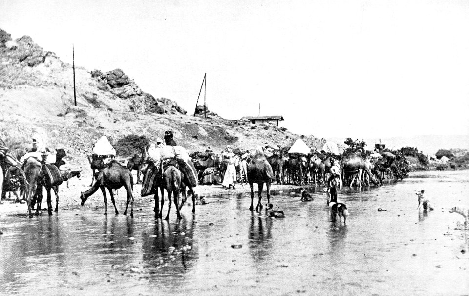PSM V52 D605 To sudan crossing the outaia