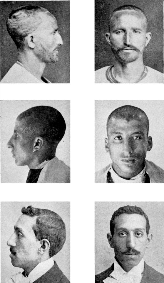 PSM V54 D357 African semitic types