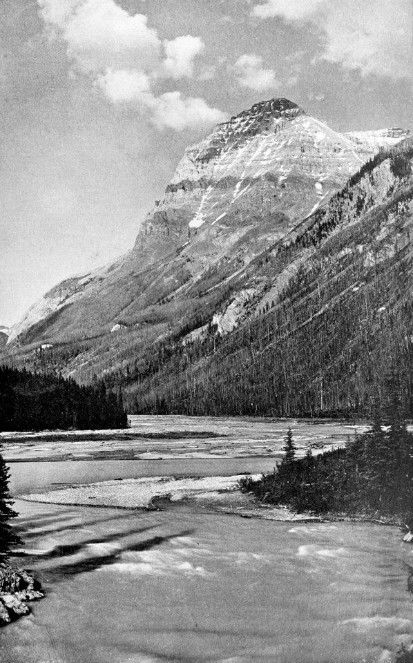 PSM V54 D491 Horizontal rocks of mount stephen