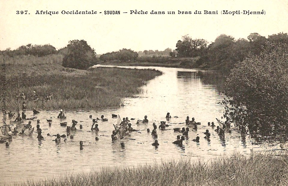 Pêche dans un bras du Bani (Mopti-Djenné)