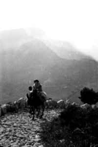 Pujada al Puig de Maria i al Puig Tomir