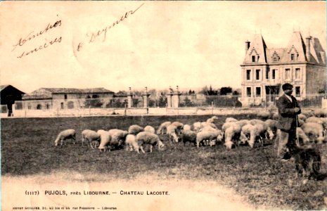 Pujols - château Lacoste