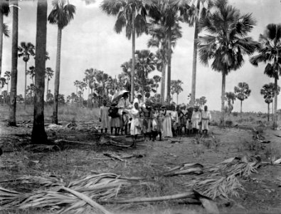 På resa till s-te Marie de Marovoay. I bärstol på sattapalmslätten. Madagaskar - SMVK - 021865