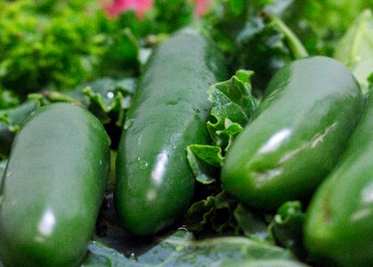 Fruit flora green vegetables