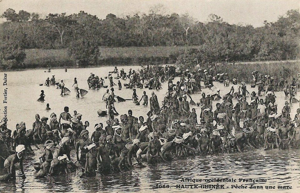 Pêche dans une mare (Guinée)