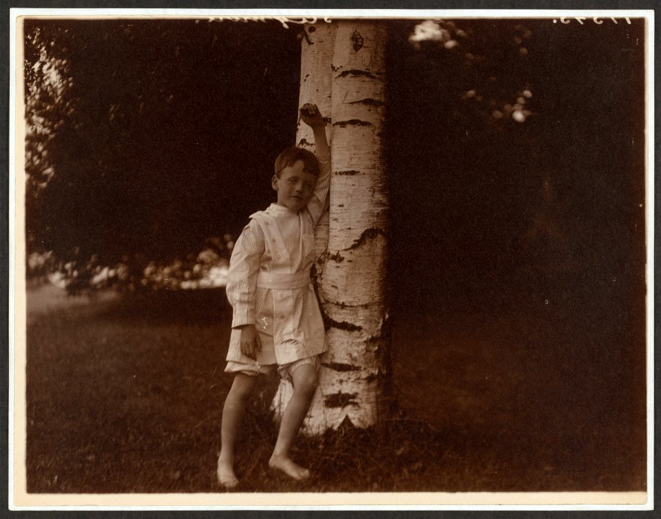 Quentin Roosevelt at the birch tree LCCN2009633591