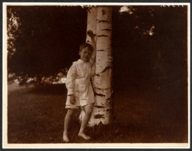 Quentin Roosevelt at the birch tree LCCN2009633591