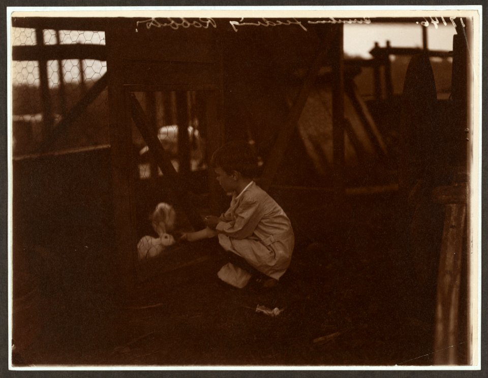 Quentin Roosevelt feeding the rabbits LCCN2009633590