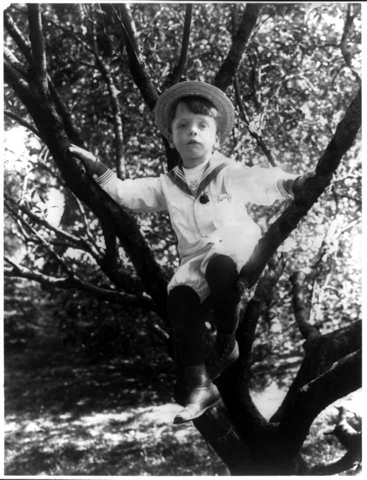 Quentin Roosevelt LCCN2001703915