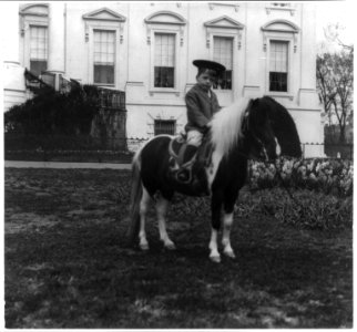 Quentin Roosevelt on a pony LCCN2001703912