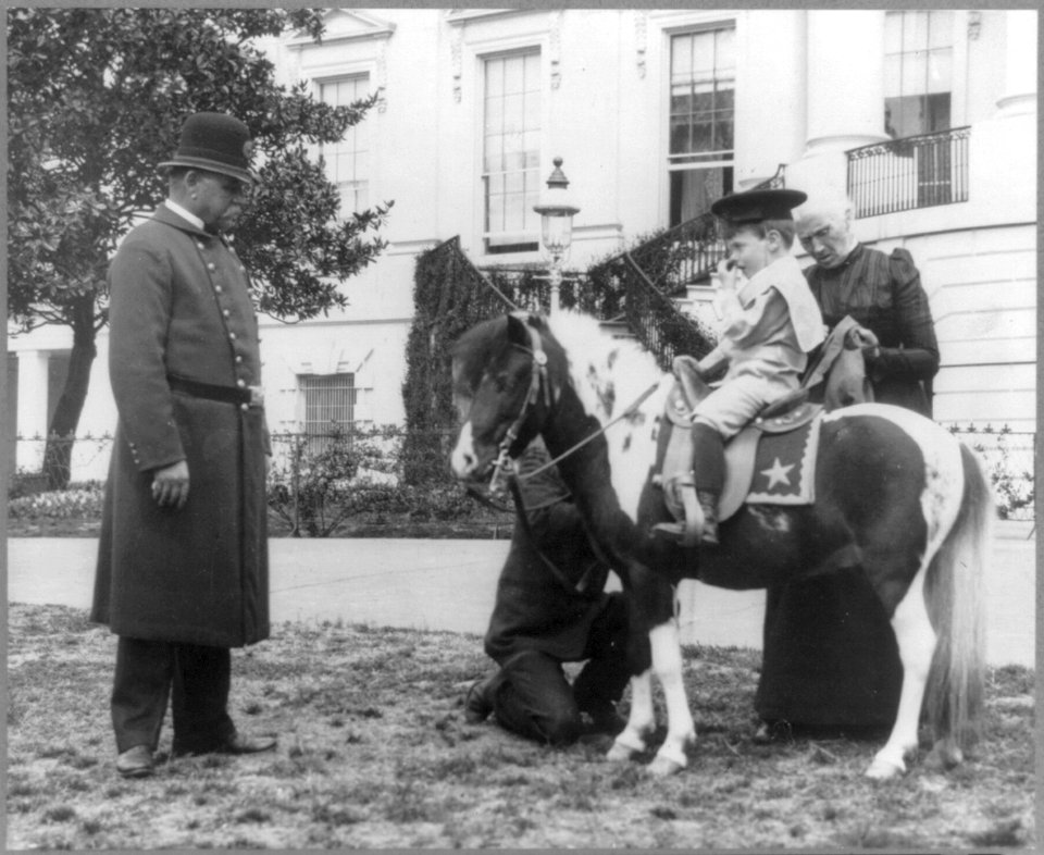 Quentin Roosevelt on pony in front of White House LCCN2001703935