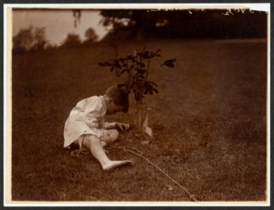 Quentin Roosevelt planting a tree LCCN2009633585