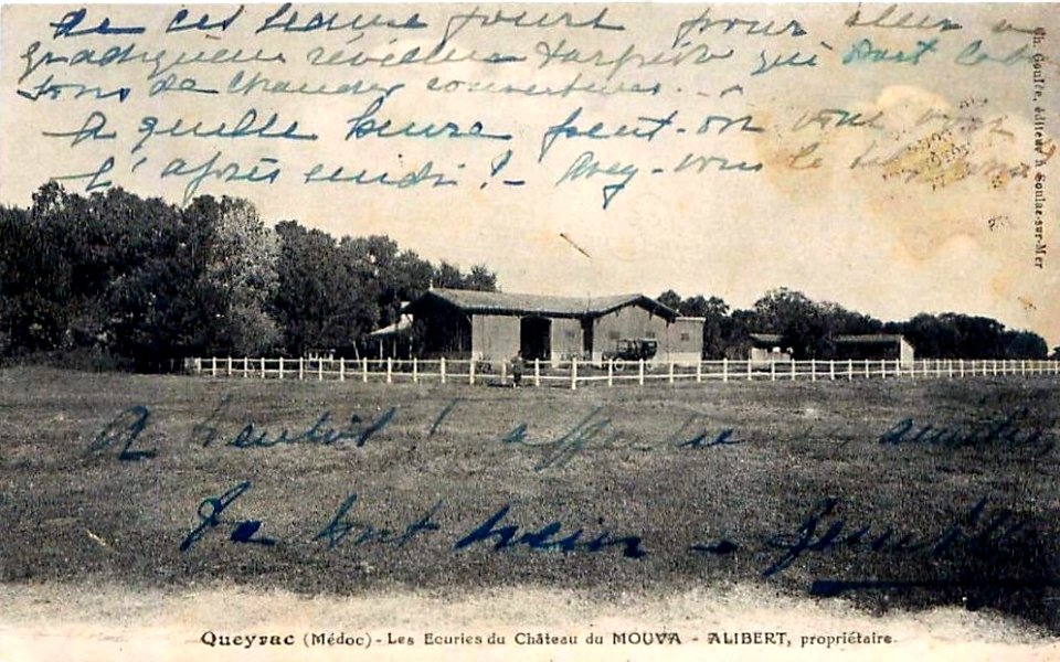 Queyrac - château Mouva 3