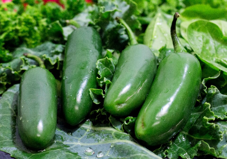 Garden leaf green vegetables