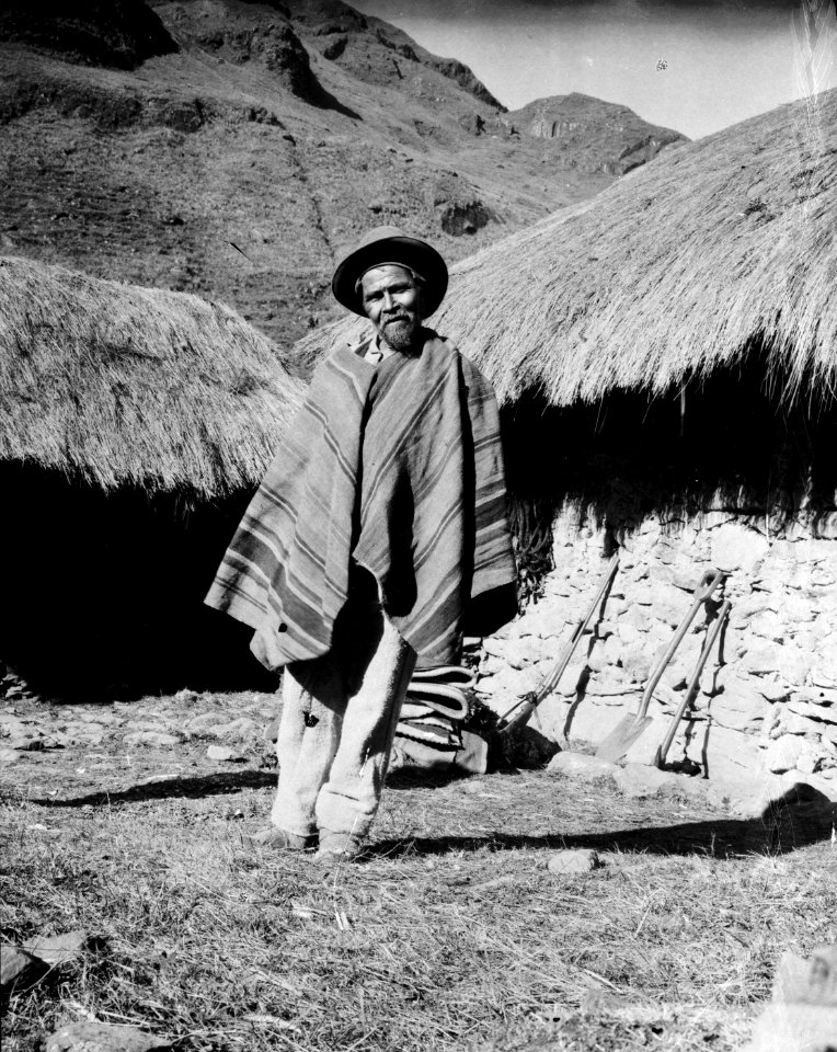 Quichuamestis. Sydamerika. Peru - SMVK - 002392