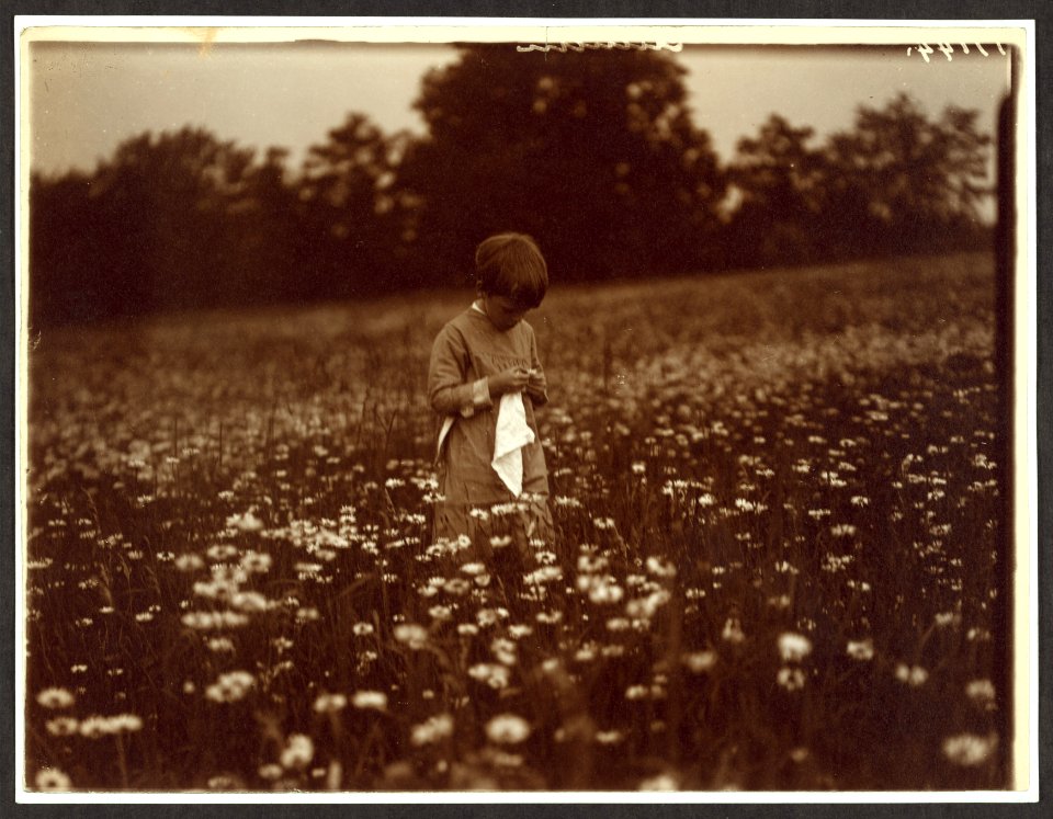 Quentin Roosevelt in the daisy field LCCN2009633595
