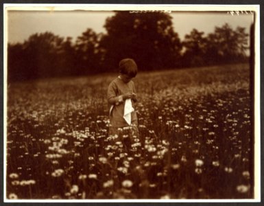 Quentin Roosevelt in the daisy field LCCN2009633595