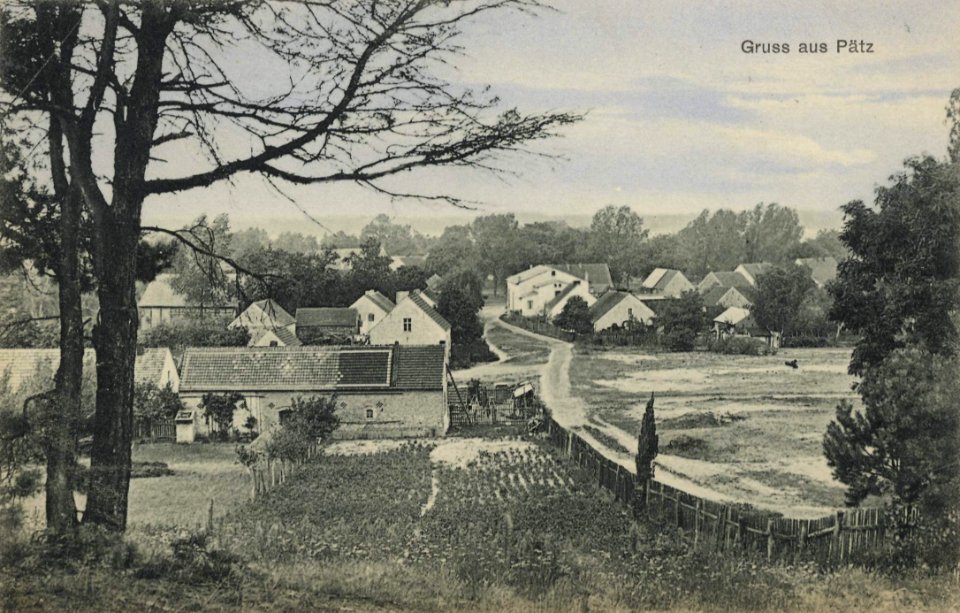 Pätz, Brandenburg - Stadtansicht (Zeno Ansichtskarten)