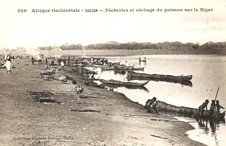 Pêcheries et séchage du poisson sur le Niger (AOF)