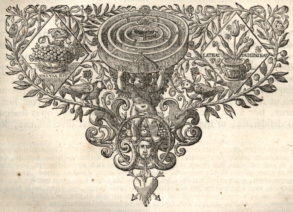 Quintilian, Institutio oratoria ed. Burman (Leiden 1720), p. 209, detail