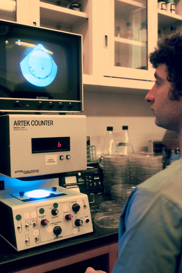 Quintote colony counter