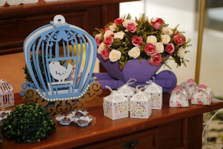 Children's party dove cage