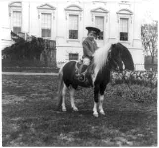 Quentin Roosevelt Child 1902