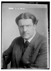 Rabbi S.S. Wise LCCN2014686337