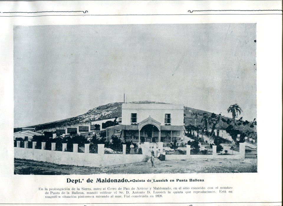 Quinta de Lussich - Punta Ballena - Maldonado