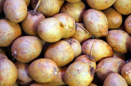 Oval display exotic fruits