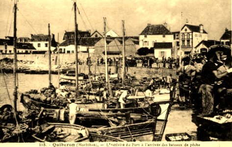 Quiberon L'arrivée bateaux pêche