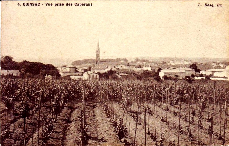 Quinsac - vue générale 1