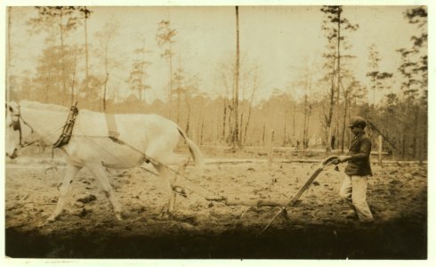 Rader Copeland (Lake Park). He was plowing during school hours and will lose 10 weeks of schooling. His father said that he needed the boy's help. He plows, plants, chops cotton, picks LOC nclc.00248