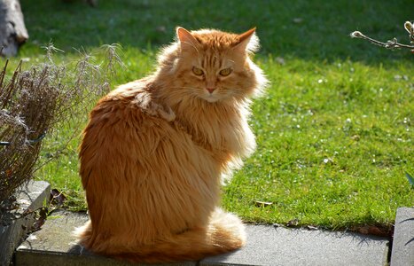 Sitting sit attention