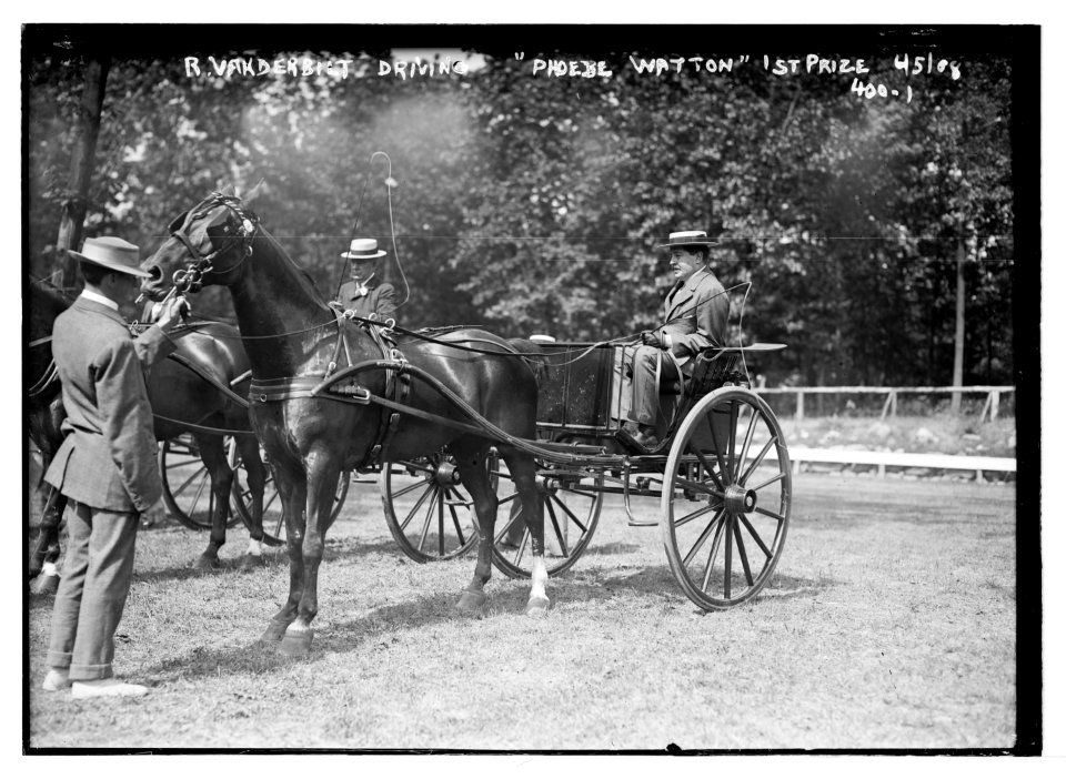 R. Vanderbilt driving Phoebe Watton - 1st prize (in horse and buggy, Plainfield Horse Show) LCCN2014681883