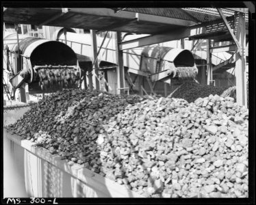Railroad car being loaded at tipple. This mine was opened in 1943. Pyramid Coal Company, Victory Mine, Terre Haute... - NARA - 540349