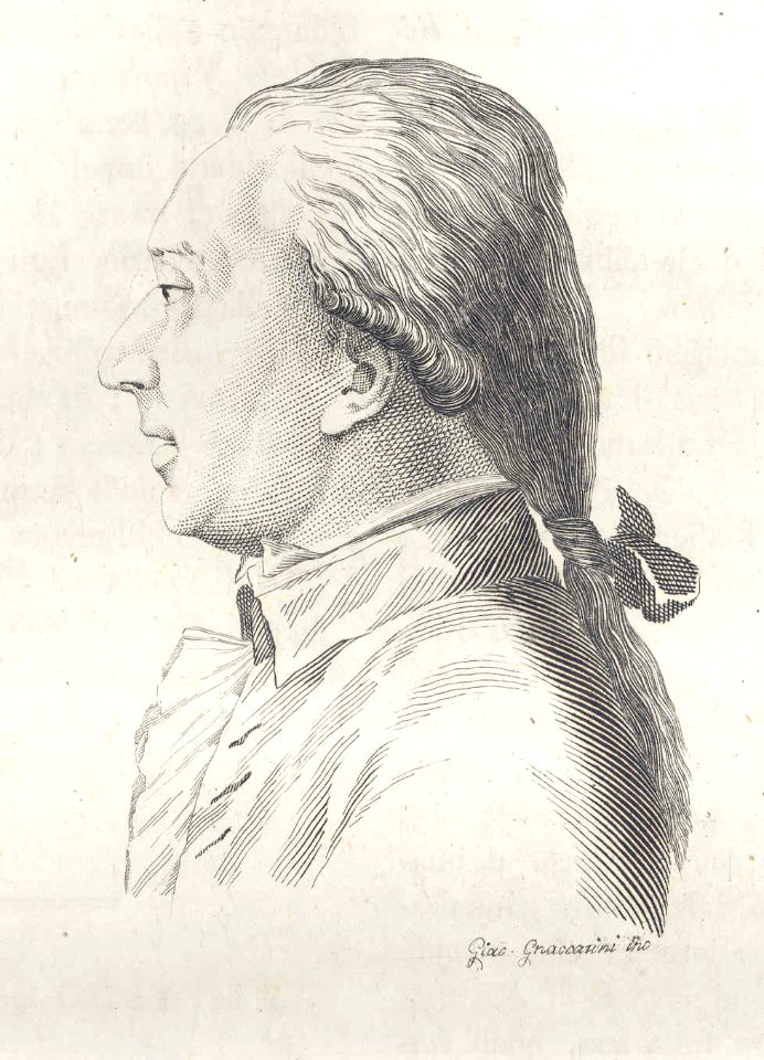 Raffaello Sanzio Morghen
