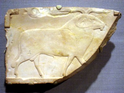 Ram, Egyptian Saite (663-525 BC), limestone relief - Worcester Art Museum - IMG 7540