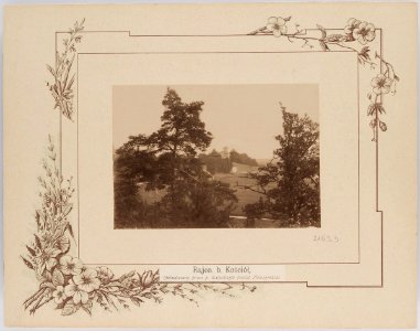 Rajca, Spaskaja. Райца, Спаская (T. Boretti, 1894) (3)